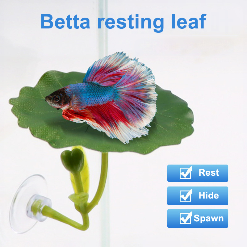 Aquarium Fish Betta - (Ce14)1/5PC Groene bladhangmat voor Betta-vis, stressverlagend,