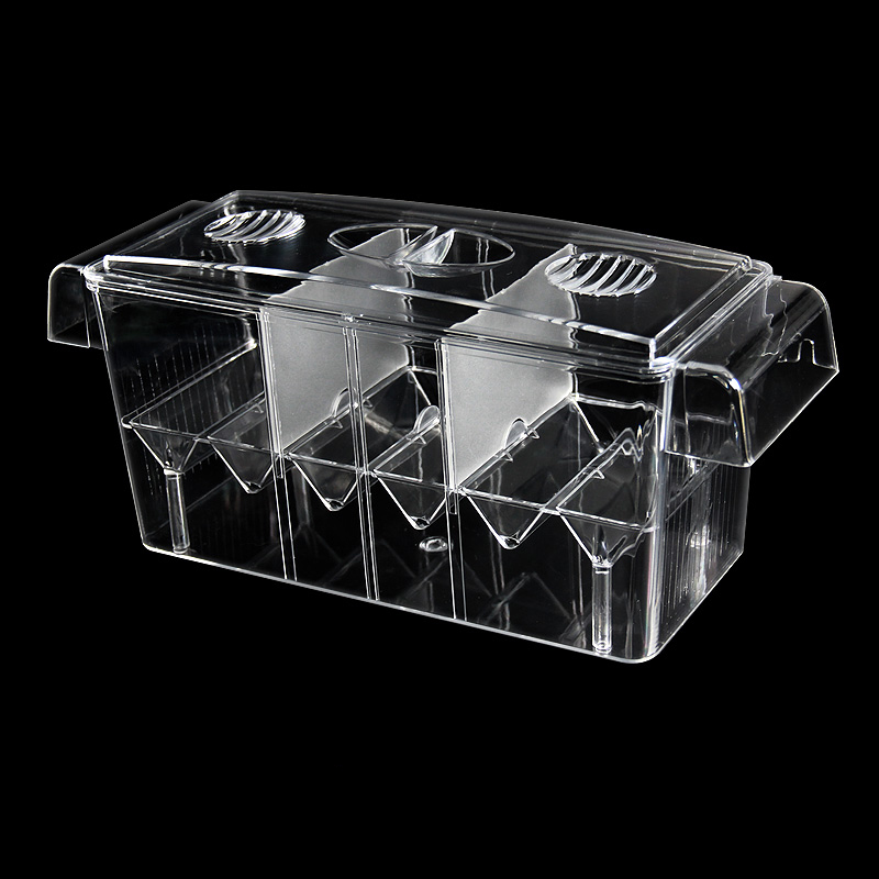 Clear Aquarium Fish Tank Isola - Aquarium Fish Betta recensie en prijs