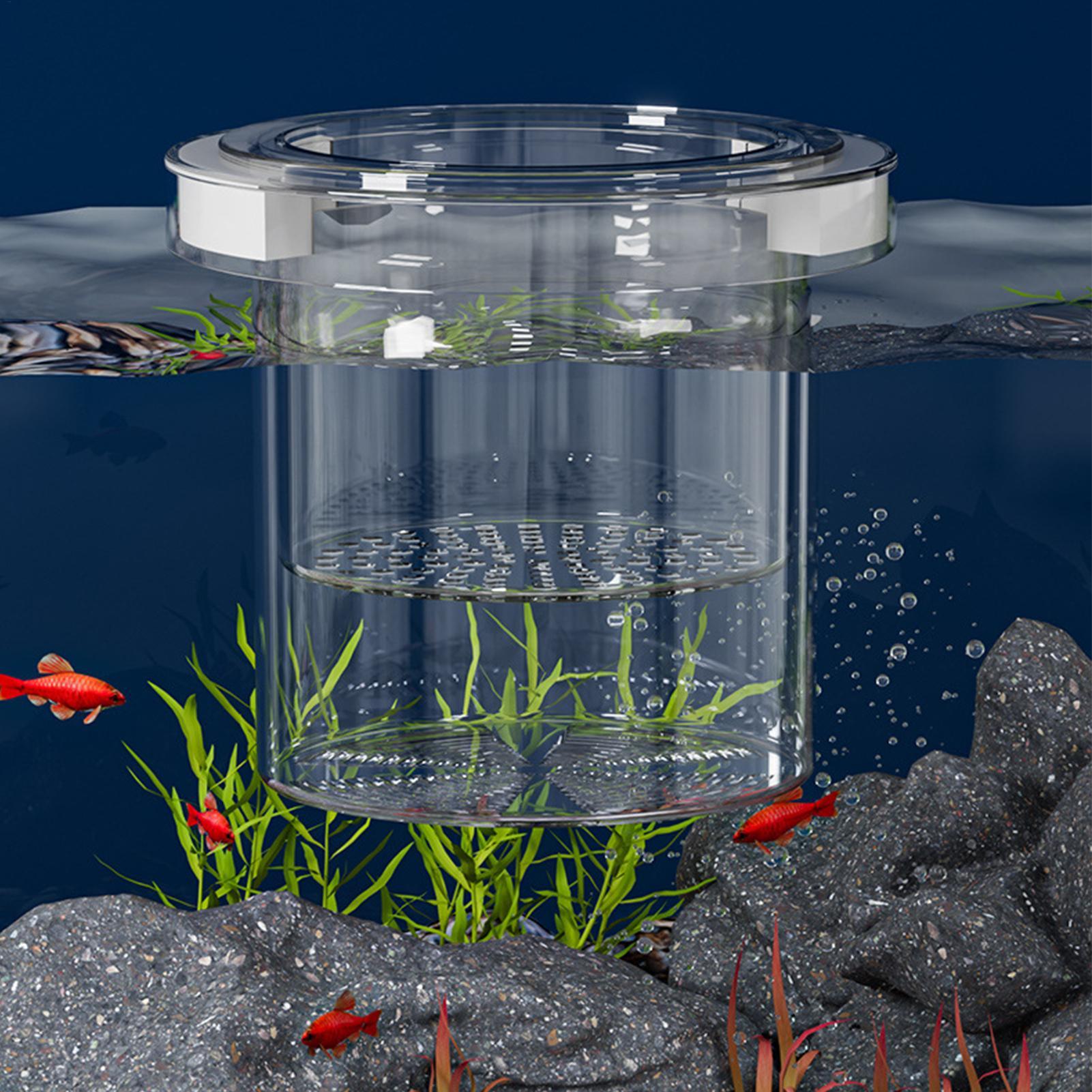 Drijvende viskweek isolatiebox - Aquarium Fish Betta recensie en prijs