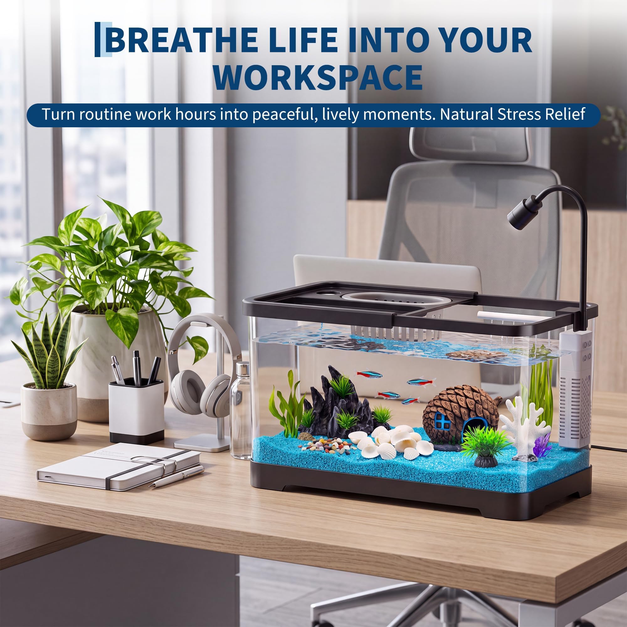 Viskom Starterset met filter e - Betta Fish Tank recensie en prijs