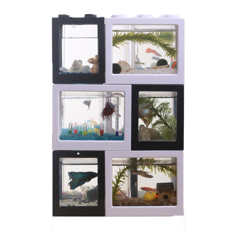 7-kleurige mini-aquarium betta - Betta Fish Tank recensie en prijs