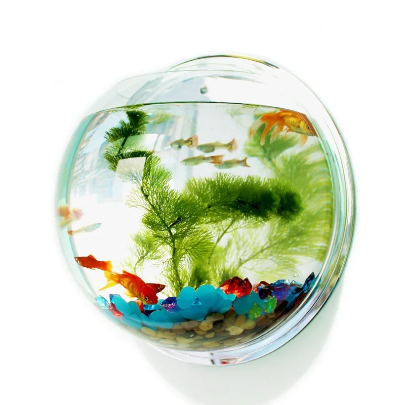Pinsjar Acryl Viskom Muuropkno - Betta Fish Tank recensie en prijs