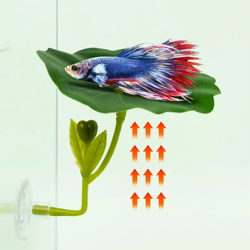 (Ce14)1/5PC Groene bladhangmat - Aquarium Fish Betta recensie en prijs
