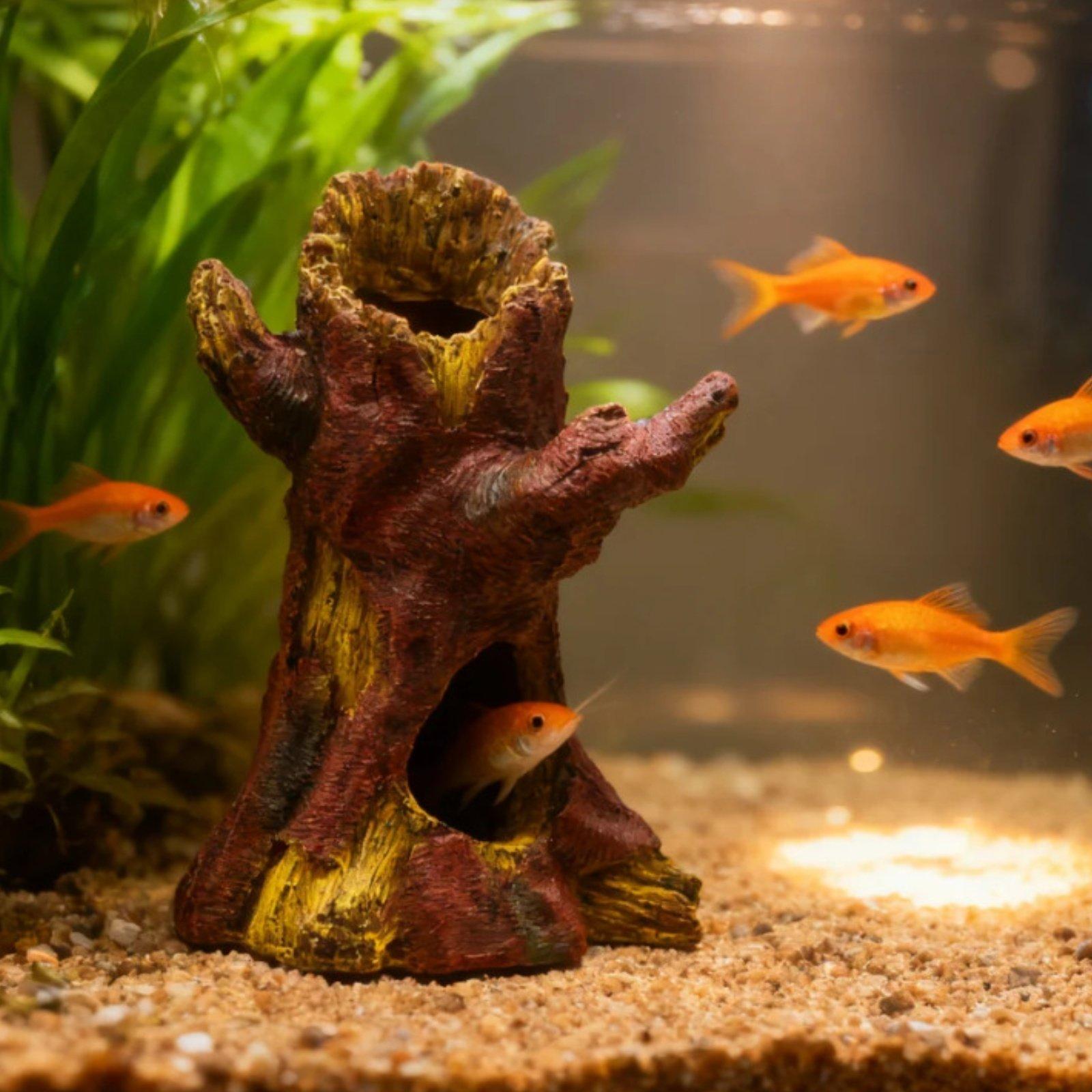 Aquariumdecoratie, decoratieve - Aquarium Decor recensie en prijs