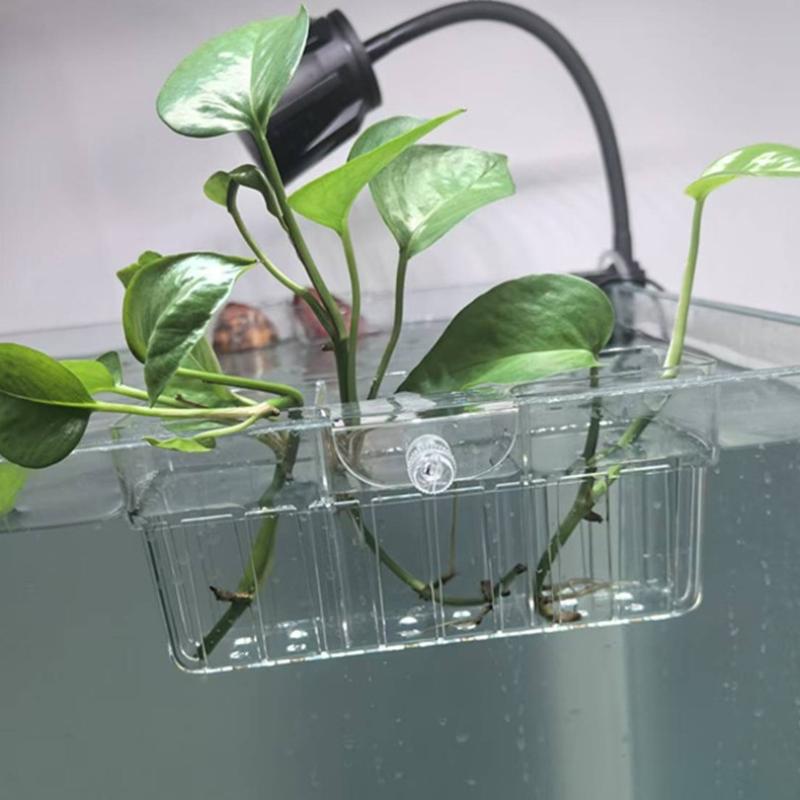 Hydroponische plantenmand, voe - Aquarium Plants recensie en prijs