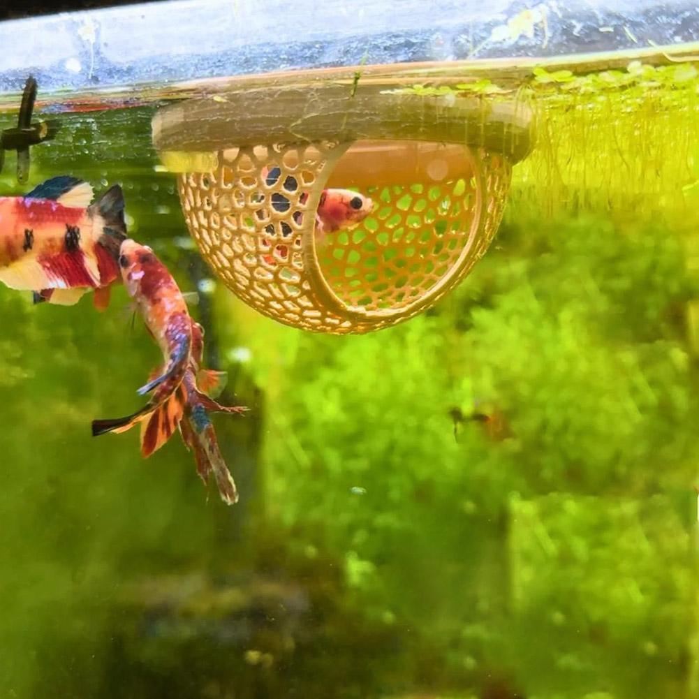 Aquarium Drijvende Grot Vis Ga - Aquarium Fish Betta recensie en prijs