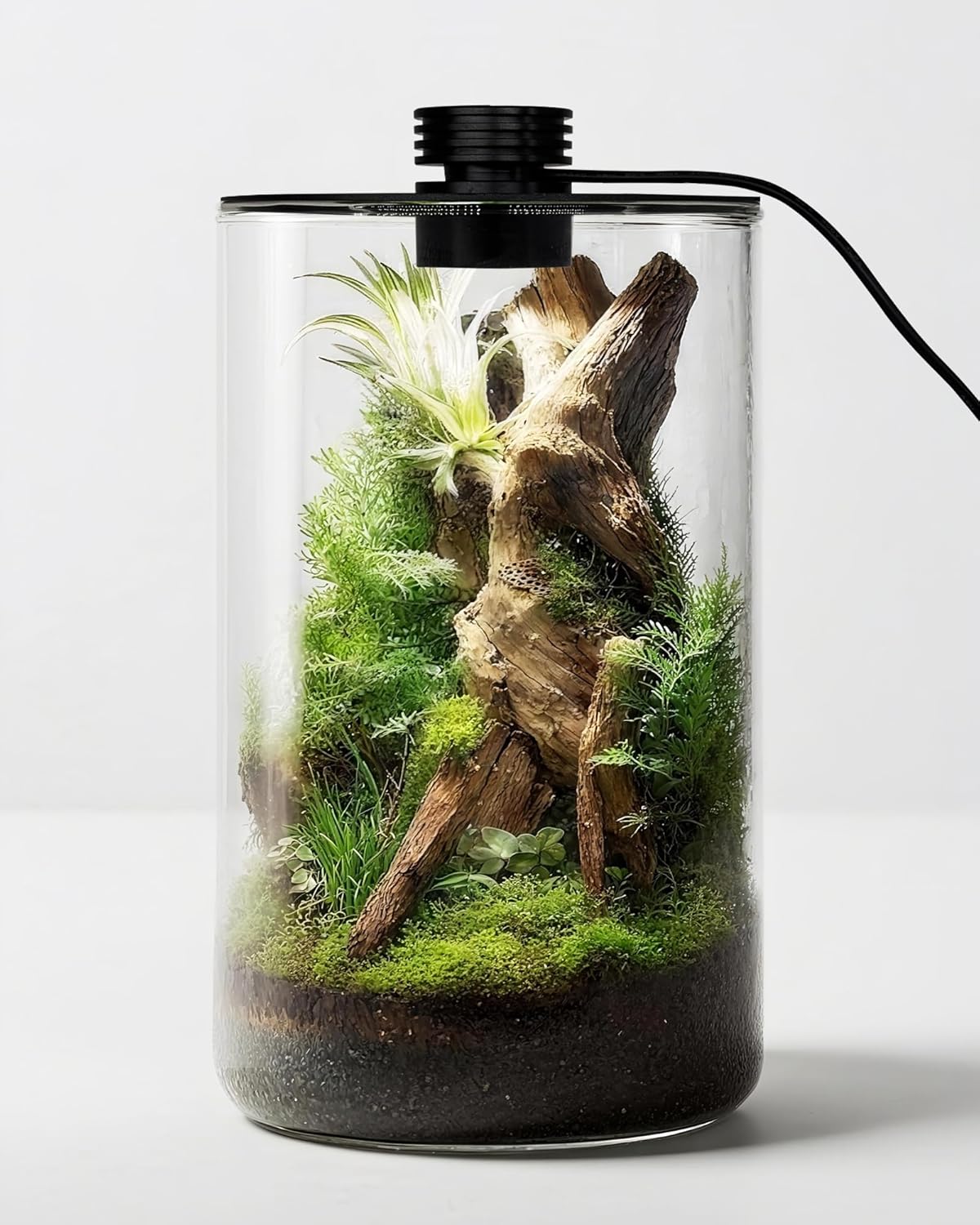 Glazen terrarium voor binnen m - Betta Fish Tank recensie en prijs