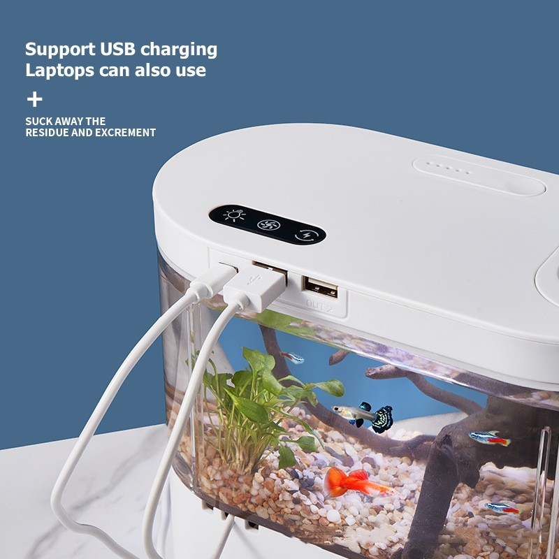 Creatief mini-aquarium voor op - Betta Fish Tank recensie en prijs
